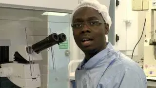 Embryo Glue - Saint Mary's Assisted Reproductive Treatment