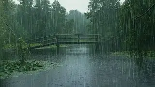 ASMR Gentle Rain on the Forest Lake - Natural Sounds to Help You Sleep Fast & Relax Deeply