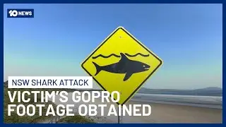 Victims Film Dolphins On GoPro Moments Before Deadly Shark Attack At Crowdy Bay NSW | 10 News