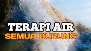 TERAPI AIR MENGALIR Untuk Semua Jenis Burung Agar Tenang & Stabil Bunyi