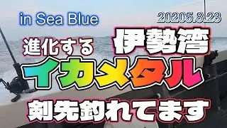 【伊勢湾イカメタル】進化する伊勢湾イカメタル【Sea Blue】