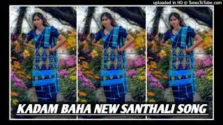 #_Kadam_Baha_na_New_Santhali_Dj_Remix 🔰 new santhali song remix git Nagpuri remix 🔰 Nagpuri Dj Rem
