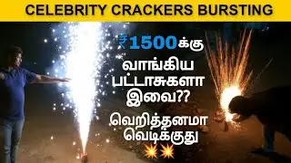 Sivakasi CELEBRITY CRACKERS Bursting Video | எல்லாம் தரமான பட்டாசுகள் | Muralis Vlog