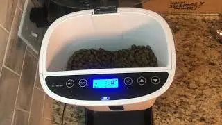 Automatic Pet Feeder by Arf Pets     