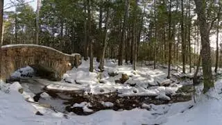 Acadia Carriage road winter