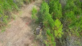 Forestry Mulching Services in Fayetteville, Peachtree City & Newnan, GA