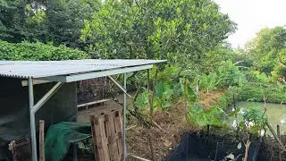RUTINITAS PAGI SEBELUM BERANGKAT KERJA || JUMAT BERKAH JUMAT BERBAGI KEBERKAHAN