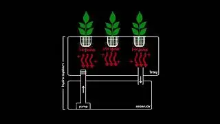 PerfectpH Introduction & Quick Recharge tutorial
