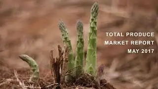 The Total Produce Market Report May 2017