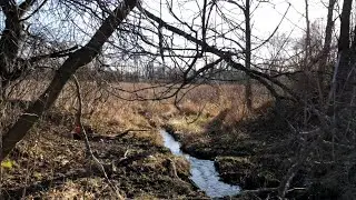 Railroad Bed Washed Away As It Gets Reclaimed By Nature
