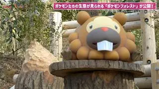 ポケモンたちの生態が見られる！「ポケパーク カントー」ポケモンフォレストが公開／Pok&eacute;Park KANTO Pok&eacute;mon Forest