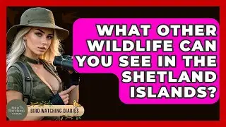 What Other Wildlife Can You See In The Shetland Islands? - Bird Watching Diaries
