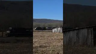 NS D&H heritage unit trails on 196 through Evansville, TN #train #railway #railfans #norfolksouthern