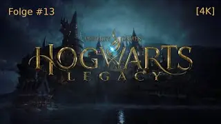 Hogwarts Legacy #13 - Abstecher nach Lower Hogsfield.