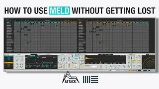 Как использовать MELD в Live 12 для создания трека с нуля @Ableton