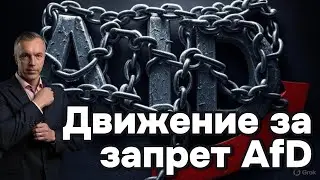 Запрет AfD: НПО на службе у власти