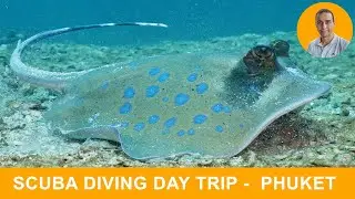 Scuba Diving Day Trip in Phuket, Thailand