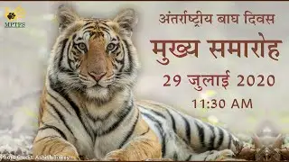International Tiger Day 2020 - Live Event