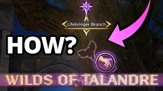 Lifebringer Branch (How to Get) - Throne and Liberty - Talandre