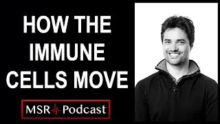 How the immune cells move - Lecture 09