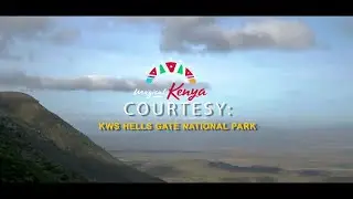 Cycling through a national park