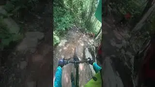 Steel panther trail killington VT #killingtonresort #flyracing #freeride #monsterenergy #trekbikes