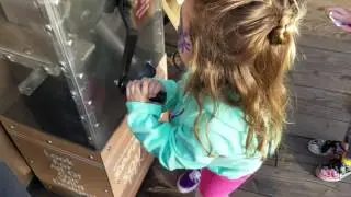 Penny smashing- Wild Animal Park