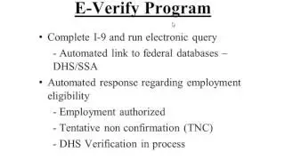 Immigration 101 for HR: Work Visa Options for Foreign Nationals
