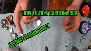 How to Tie a Carolina Rig (Plus ways to modify!)