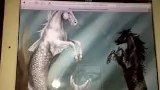 Mermaid horses