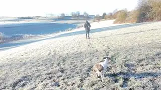 Wicka the Whippet  too fast for DJI Neo