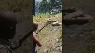 I killed a huge snake #viral #reddeadredemption #rdr2 #gaming #rdr #shortsviral #viralshort