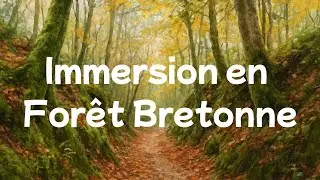 Balade Immersive en For&ecirc;t de Kergrist-Moellou &ndash; Br&egrave;ve de Bretagne