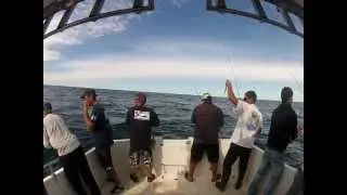 Pez lim&oacute;n record de 17,300 kg capturado por Aquafish-Argentina