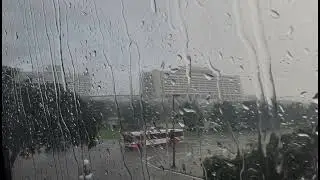 8 Hours of Rain Sounds for Sleeping | Theme Park Ambience (No Music)