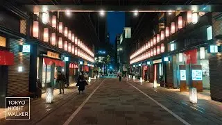 日本橋 八重洲 銀座 数寄屋橋 夜桜散歩 | 2025年4月 | 4K | Tokyo Night Walker