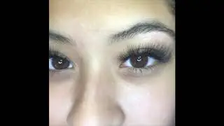 Lash Extensions Compilation