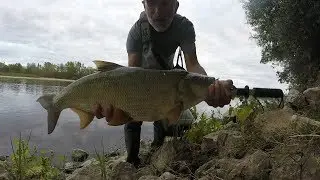 Gros aspes en folie sur la Loire