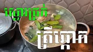 Fish (Cyclocheilichthys enoplos) soup - ស្ងោរជ្រក់ត្រីឆ្កោកឆ្ងាញ់- Vichheka SOK