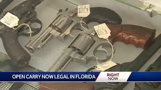Floridians can now open carry — what you need to know