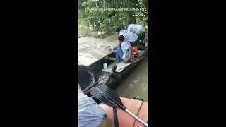 VIDEO: Rhino rescued from a flooded park in India on Tuesday