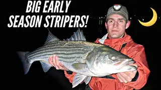 BIG Early Season Striped Bass! NIGHT FISHING