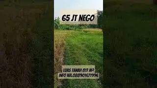 Tanah Murah 817 m&sup2; Harga 65 jt Nego #tanahdijualmurah #tanahmurah #tanahdijual