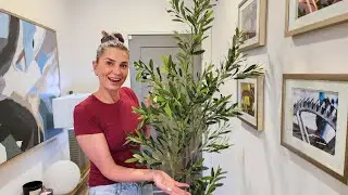Realistic Artificial Olive Tree Review: Elegant Home Decor B0DFLZ4BP8