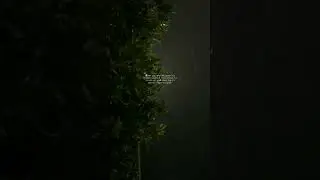 Do you like rain?? #aesthetic #story #shortvideo #aestheticgirl