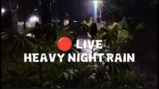 🔴 LIVE Heavy Night Rain 🌧️ Relaxing Rain Sounds for Deep Sleep, Study & Stress Relief