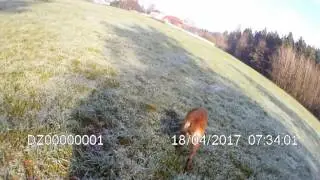 Bou&iacute; z &Uacute;dol&iacute; Jizery - tracking training