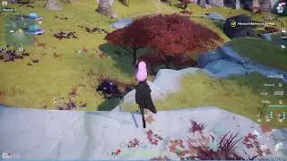 Kill Last Bunny To Get Achievement Bunny Hunter [Tower of Fantasy]