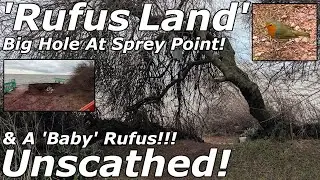 Good News at Last: Rufus Safe & Trains Running Again &ndash; 26/01/26