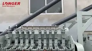 High Speed Cashew Nut Cracking Machine/Cashew Nut Breaking Machine